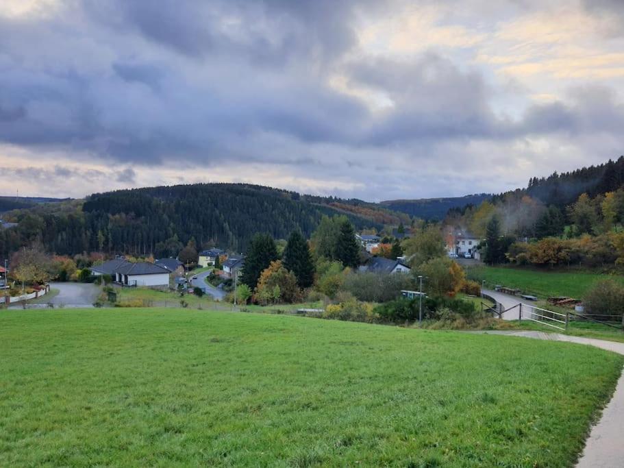 Holzhaus Chalet Nationalpark Eifel Hund Willkommen ヘレンタール エクステリア 写真