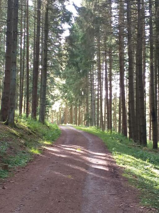 Holzhaus Chalet Nationalpark Eifel Hund Willkommen ヘレンタール エクステリア 写真