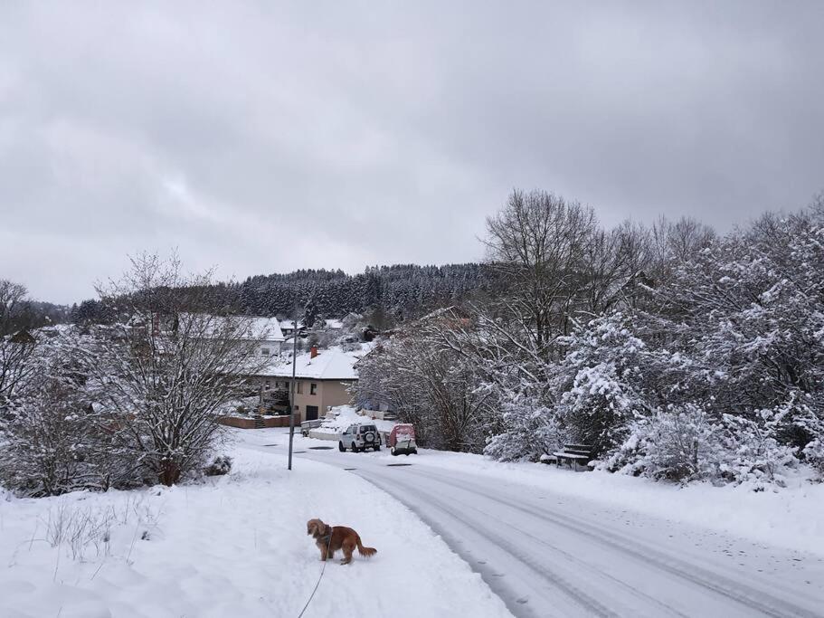 Holzhaus Chalet Nationalpark Eifel Hund Willkommen ヘレンタール エクステリア 写真